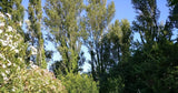 Swimmy Location Piscine Privée Manduel pour 8 Personnes 8