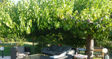 Piscine Privée au Calme entre Aix-en-Provence et Marseille 3