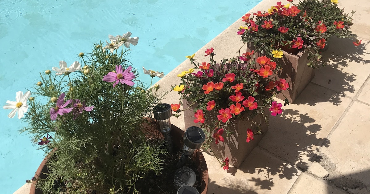 Piscine Privée Ensoleillée à 10 minutes d'Avignon