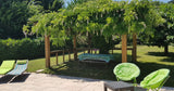 Grande Piscine au Milieu des Vignes à Quinsac 12x6m 3