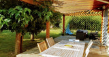 Grande Piscine au Milieu des Vignes à Quinsac 12x6m 4