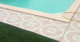 Piscine Privée La Douceur de la Campagne Occitane Castelsarrasin 2