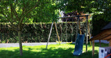 Piscine Chauffée et Spa à Mittelschaeffolsheim 9.5m x 4m 19