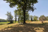 Belle Piscine au Milieu des Vignes à Draguignan 3