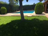 Location de Piscine Privée à Villaviciosa de Odón, Madrid 2