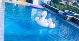Piscine Chauffée Privée à Mèze 10x5m, Proche Sète 1