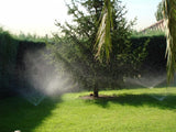 Location de Piscine Privée à Villaviciosa de Odón, Madrid 3