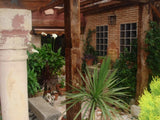 Location de Piscine Privée à Villaviciosa de Odón, Madrid 6