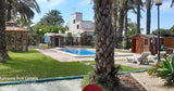 Piscina Privada Rodeada de Palmeras en Alicante Costa Blanca 3