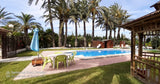 Piscina Privada Rodeada de Palmeras en Alicante Costa Blanca 4