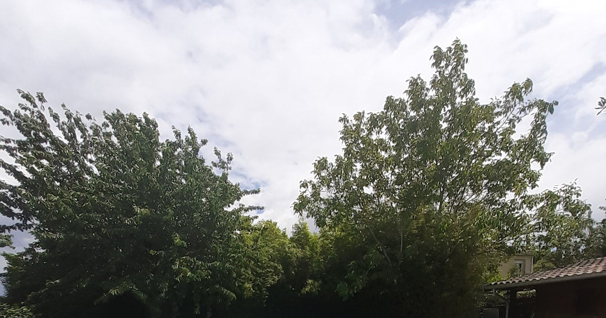 Piscine Naturiste Privée à Frouzins Près de Toulouse