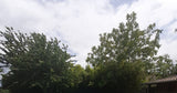 Piscine Naturiste Privée à Frouzins Près de Toulouse 1