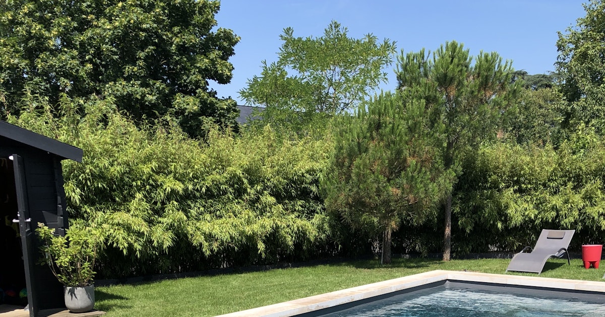 Swimmy Piscine Chauffée 9x4m à Thorigné-d'Anjou Jardin Calme