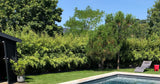 Swimmy Piscine Chauffée 9x4m à Thorigné-d'Anjou Jardin Calme 1