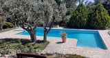 Piscine Privée à Proximité de Draguignan Trans-en-Provence 4