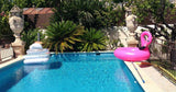 Piscine Tropicale Privée à Marseille Sainte-Marthe Filles Uniquement 6