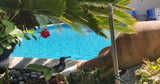 Piscine Tropicale Privée à Marseille Sainte-Marthe Filles Uniquement 7