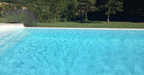 Swimmy Piscine à Débordement avec Vue sur la Montagne Noire 1