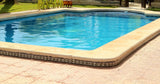 Piscina Privada Rodeada de Palmeras en Alicante Costa Blanca 9