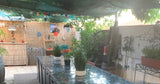 Piscine Privée à Lunel avec Terrasse Ombragée et Jardin 8