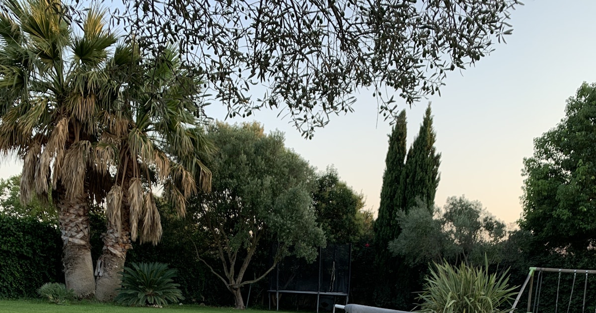 Grande Piscine Privée à Fos-sur-Mer 10x5m avec Jardin et Barbecue