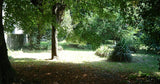 Piscine Privée à Viviers 10x5m avec Pool House et Jardin 4