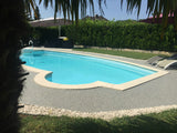 Piscine et Jardin Privatif à Moirans 8m x 4m 1