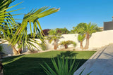Belle et Grande Piscine à 5 min de Nîmes (Saint-Gervasy) 3