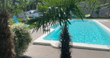 Swimmy Location de Piscine Privée Jardin 750m² à 15min de Grenoble 3