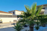 Belle et Grande Piscine à 5 min de Nîmes (Saint-Gervasy) 4