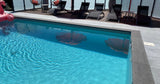 Piscine 8x4m à Sonnaz Profondeur 1,5m 3
