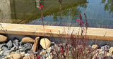 Couloir de Nage 25m, Bassin Détente 5m et Spa 4 Places 7