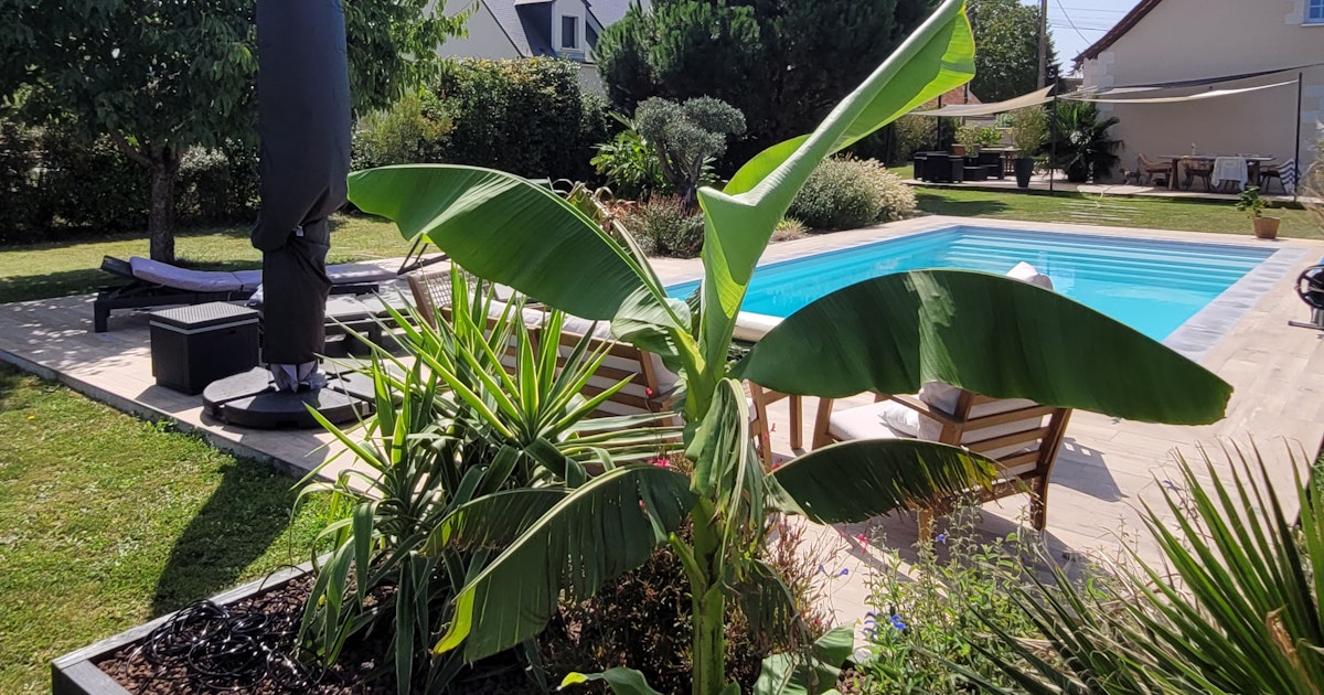 Piscine Privée Chauffée 8.5m x 4.2m à Reignac-sur-Indre