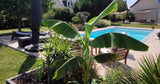 Piscine Privée Chauffée 8.5m x 4.2m à Reignac-sur-Indre 1