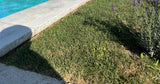 Piscine Privée Chauffée 24m² à Mâcon 5 Personnes 1
