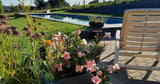 Grande Piscine Privée Chauffée 15m x 4m à Vaux-sur-Sûre 14