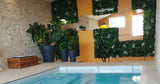 Piscine Intérieure et Jacuzzi Privés à Treize-Vents 10 Baigneurs 2