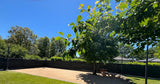 Très Belle Piscine Privée avec Pool House et Boulodrome à Castelsarrasin 5