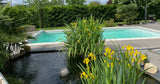 Superbe Piscine avec Jardin à 1H de Paris Sainte-Colombe 3