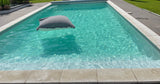 Superbe Piscine avec Jardin à 1H de Paris Sainte-Colombe 1