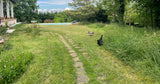 Swimmy Piscine Privée Extérieure à Arnas 5x10m Jardin 2