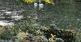 Belle Piscine dans un Écrin de Verdure à Jaulny 9