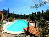 Piscine Forme Libre au Sel sans Vis à Vis Montegut 1