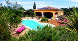 Piscine Forme Libre au Sel sans Vis à Vis Montegut 2
