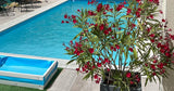 Piscine Conviviale à Louer à Pérignat-lès-Sarliève pour Événements 2