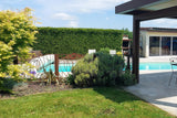 Belle Piscine à la Campagne avec Eau Salée Chauffée 4