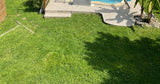 Belle Piscine Privée à 1h de Paris Soissons Ploisy 5