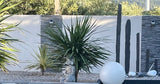 Piscine Privée Villedaigne 6x3m avec Terrasse et Pergola 5