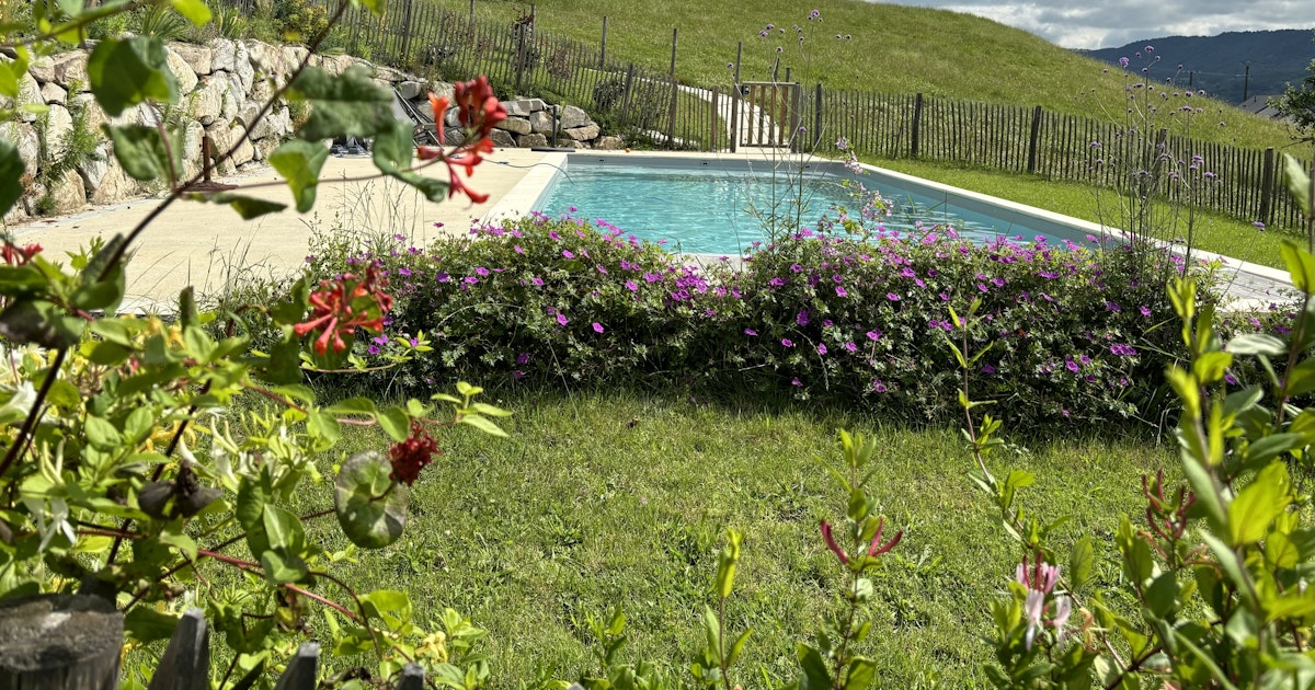 Piscine Privée Polminhac 10x4m Traitement au Sel