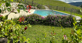 Piscine Privée Polminhac 10x4m Traitement au Sel 1